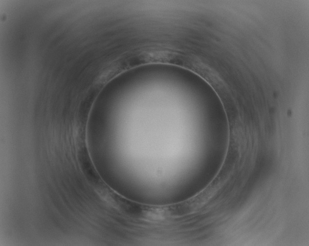 X0000051250079200506241557