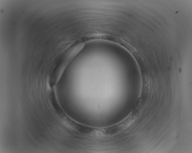 X0000051250080200506241557