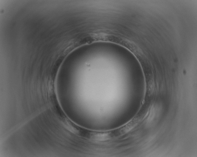 X0000051250081200506241557