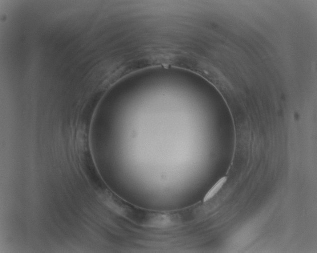 X0000051250083200506241557