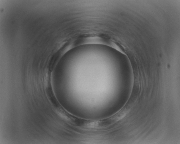 X0000051250084200506241557