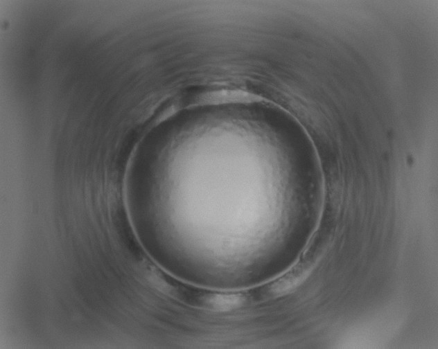 X0000051250085200506241557