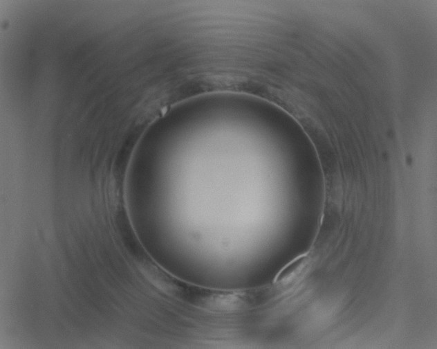 X0000051250086200506241557