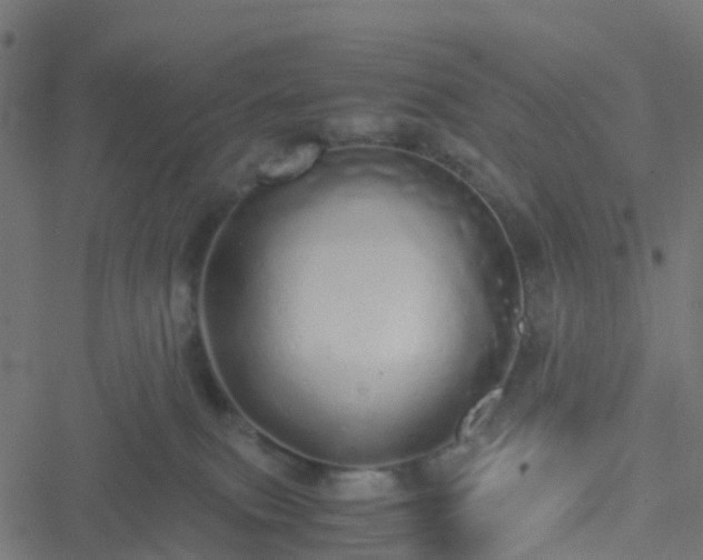 X0000051250087200506241557