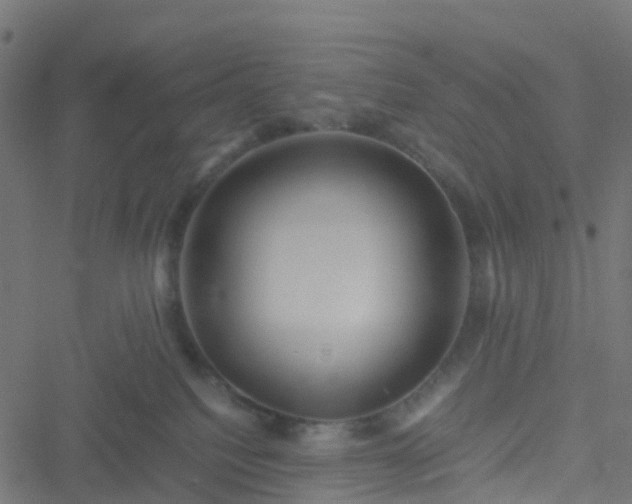 X0000051250088200506241557