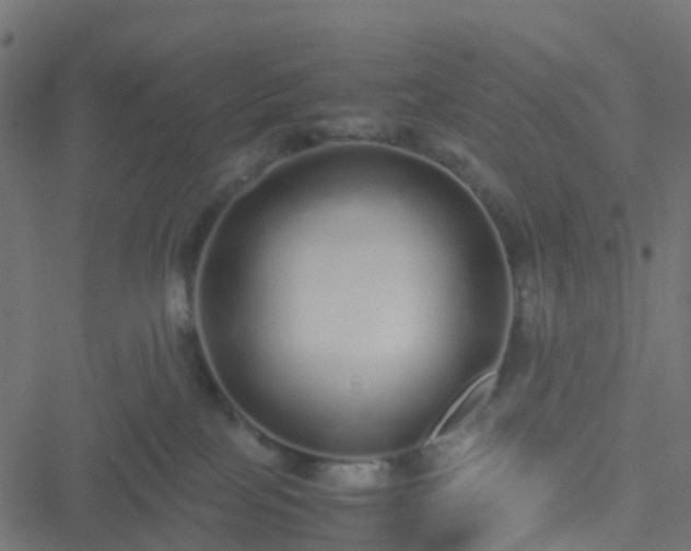 X0000051250089200506241557