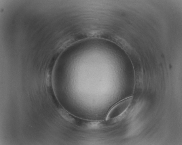 X0000051250090200506241557