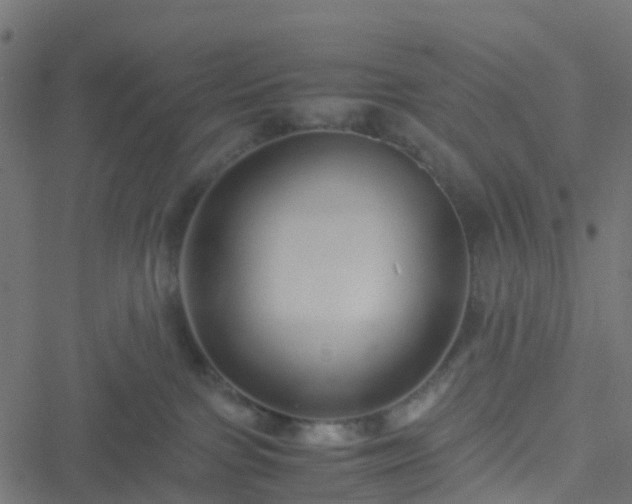 X0000051250091200506241557