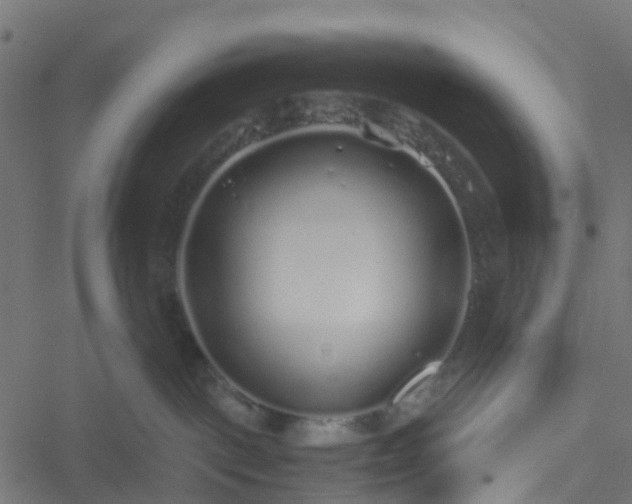 X0000051250093200506241557