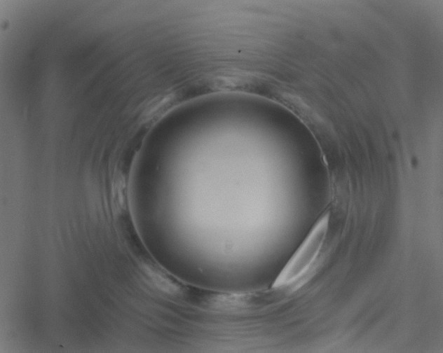 X0000051250094200506241557