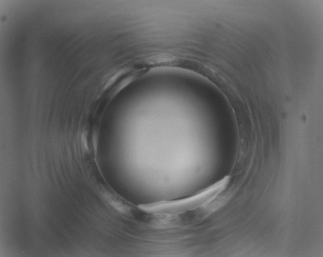 X0000051250096200506241557