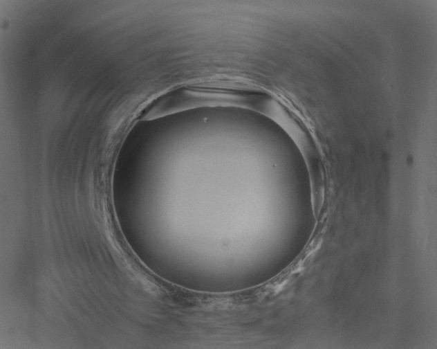 X0000051250097200506241557