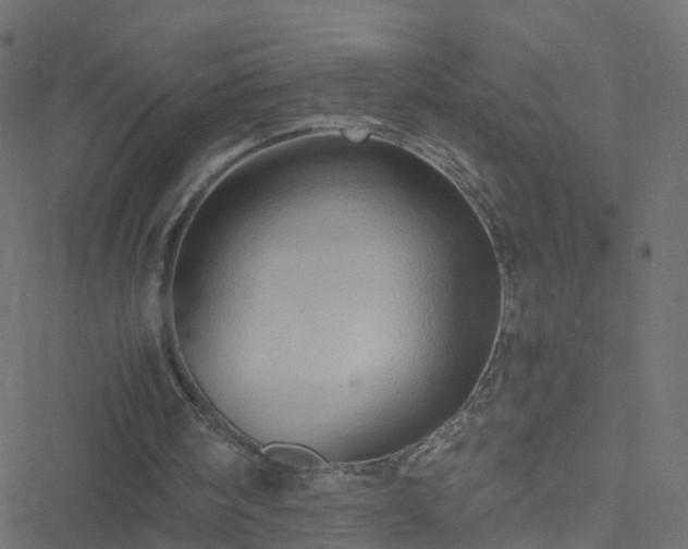 X0000051250098200506241557