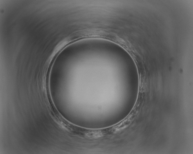 X0000051250099200506241557