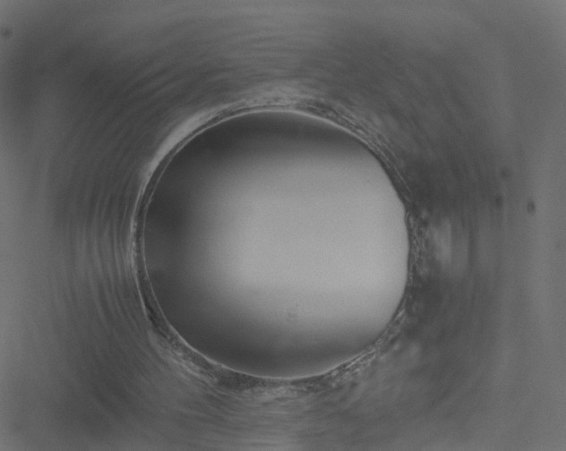 X0000051250100200506241557