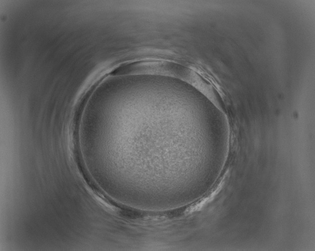 X0000051250101200506241557