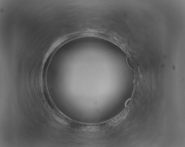 X0000051250102200506241557