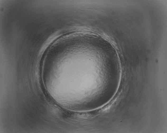 X0000051250103200506241557