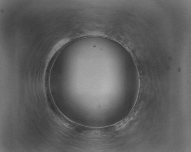 X0000051250104200506241557