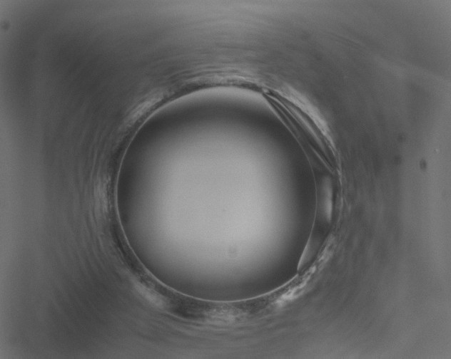 X0000051250105200506241557