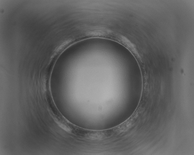 X0000051250106200506241557