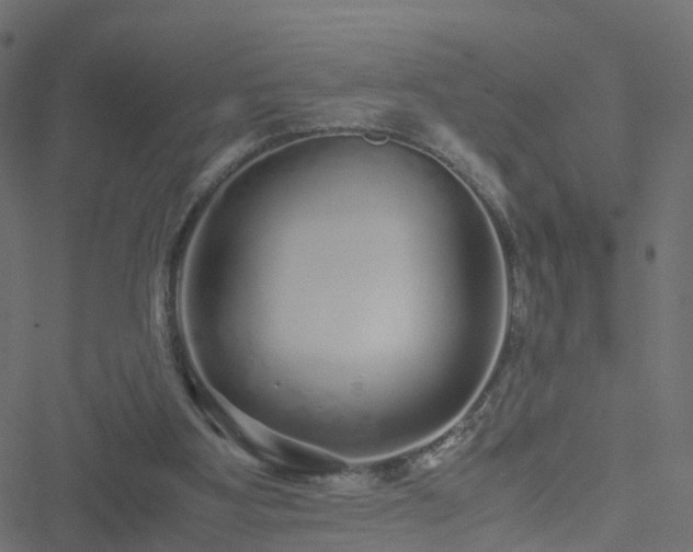 X0000051250107200506241557