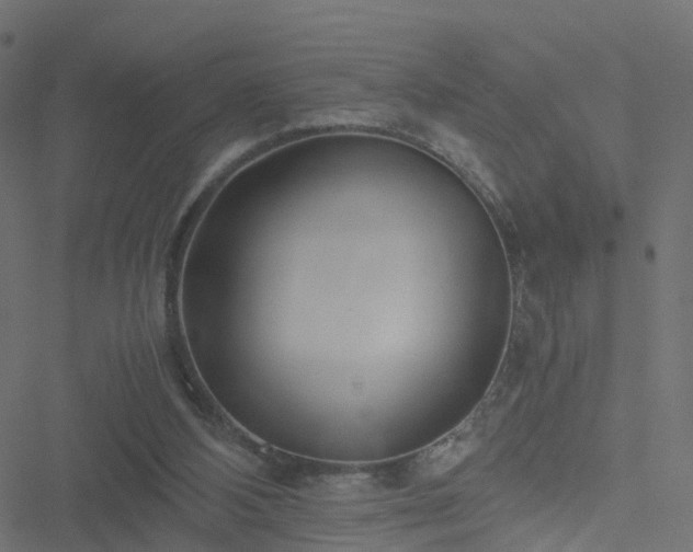 X0000051250108200506241557