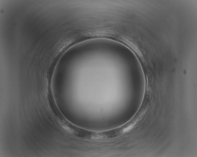 X0000051250109200506241556