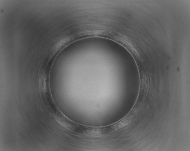 X0000051250110200506241556