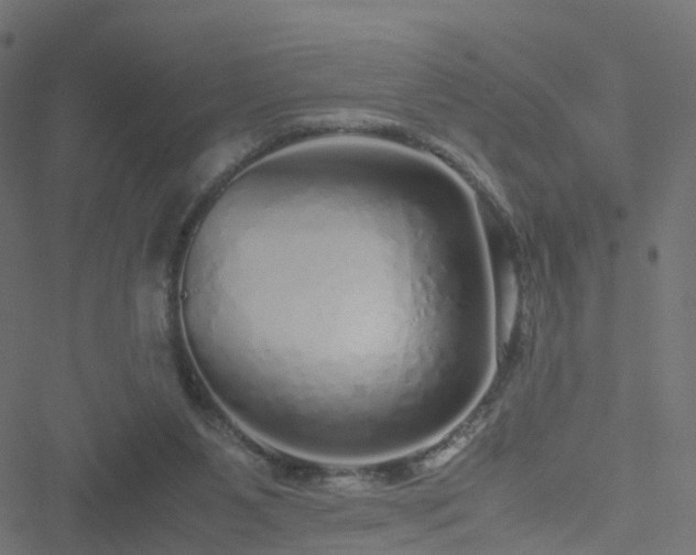 X0000051250111200506241556