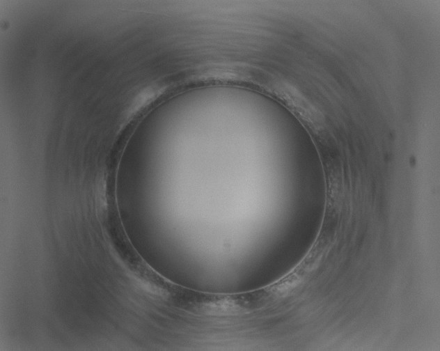 X0000051250112200506241556