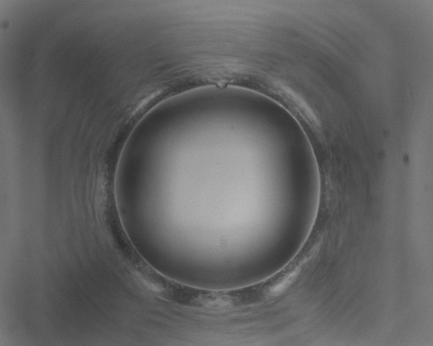 X0000051250113200506241556