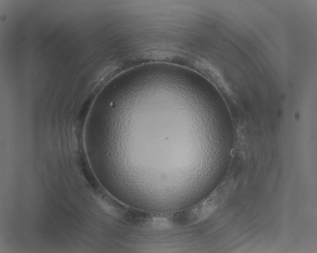 X0000051250114200506241556