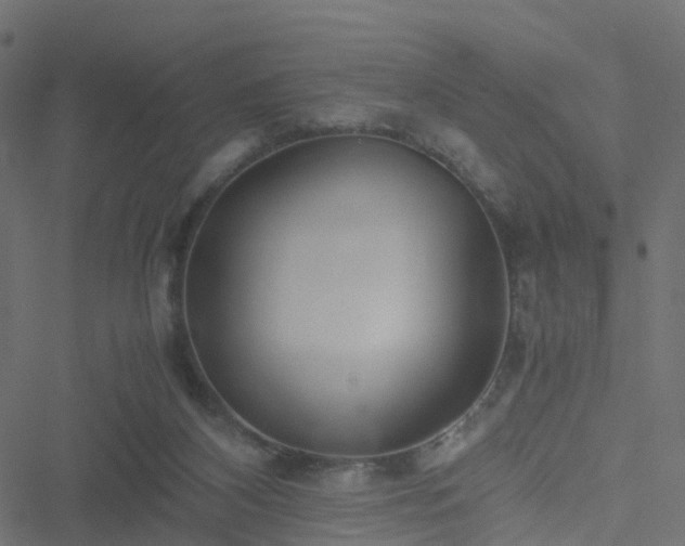 X0000051250116200506241556