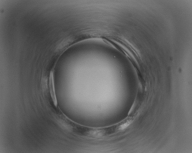 X0000051250117200506241556