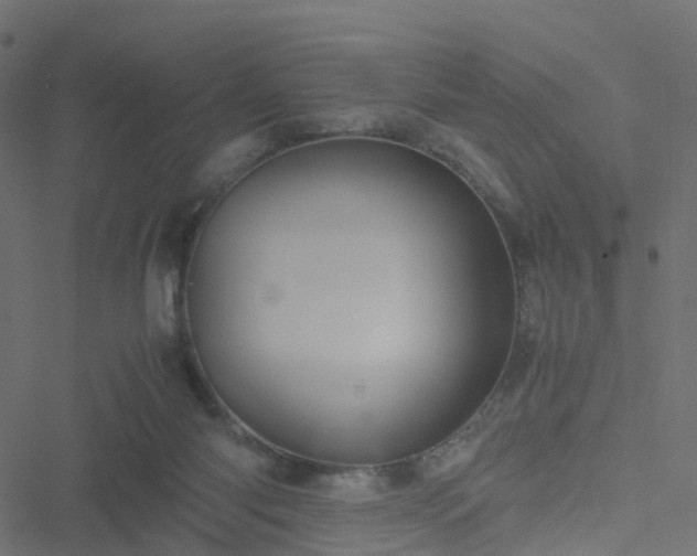 X0000051250118200506241556