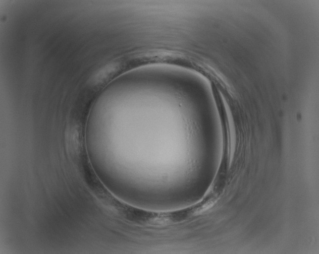 X0000051250119200506241556