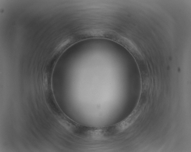 X0000051250120200506241556