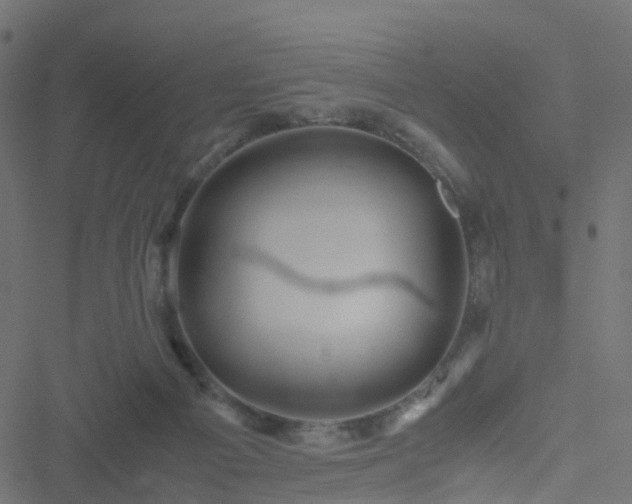 X0000051250121200506241556