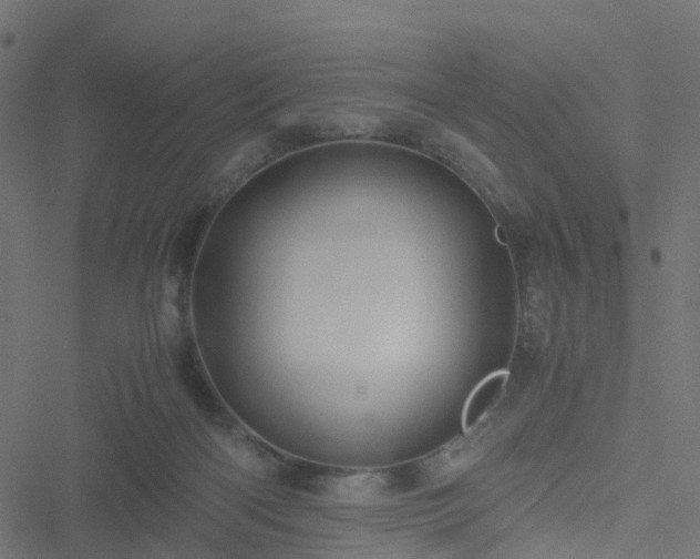 X0000051250122200506241556