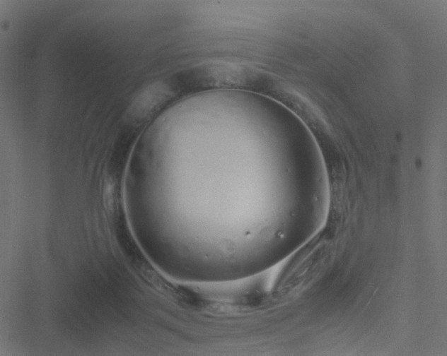 X0000051250123200506241556