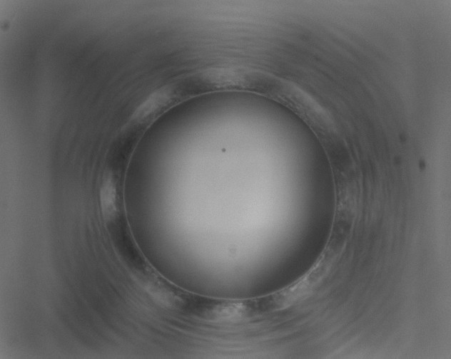 X0000051250124200506241556