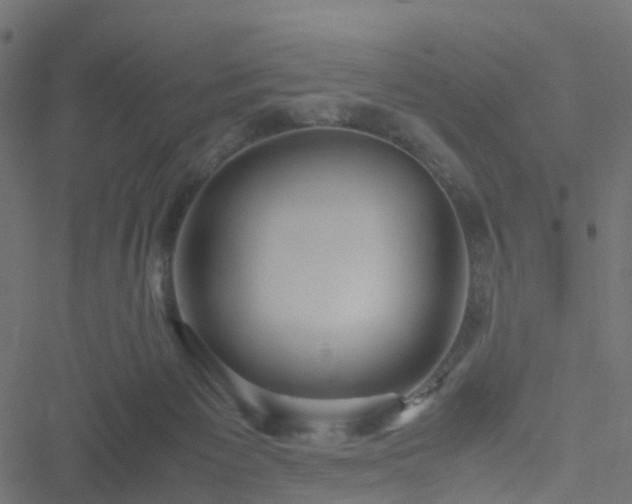 X0000051250125200506241556