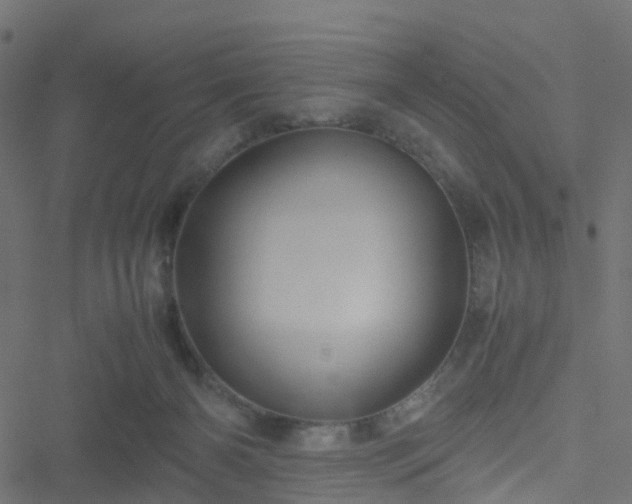 X0000051250126200506241556