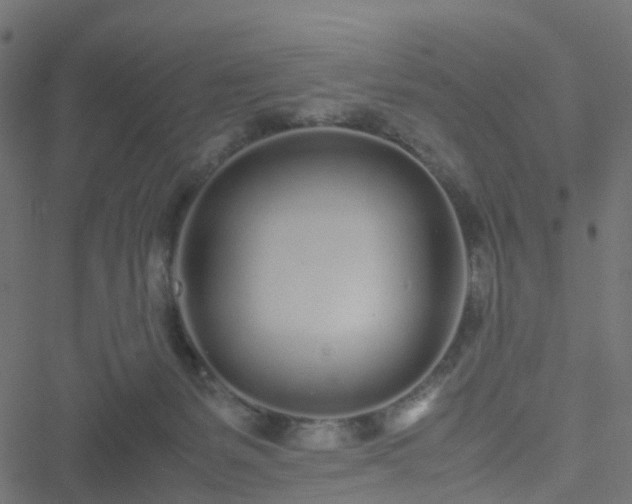 X0000051250127200506241556