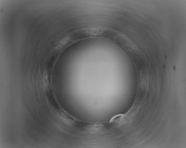 X0000051250128200506241556