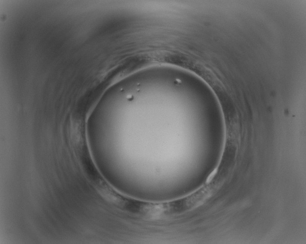 X0000051250131200506241556