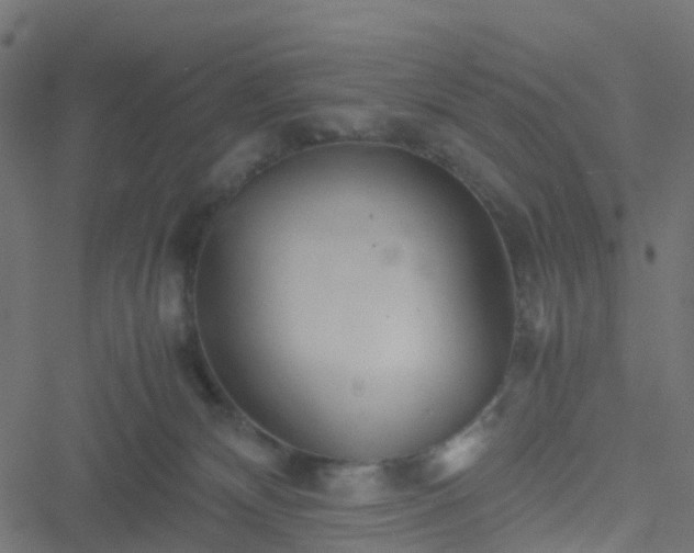 X0000051250132200506241556