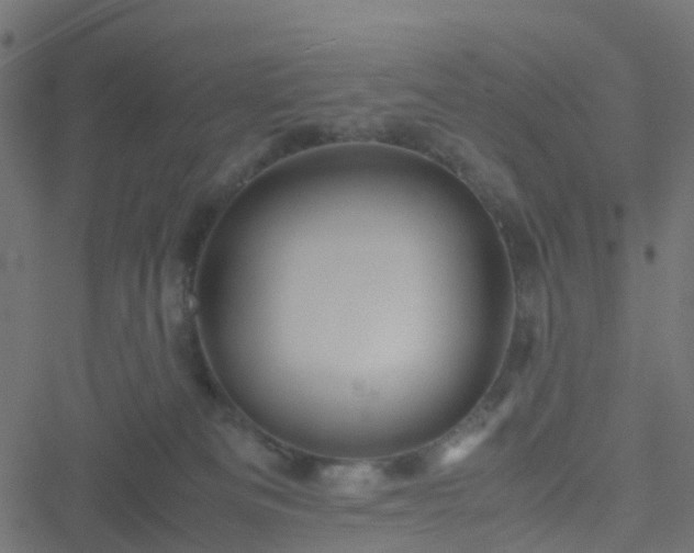 X0000051250133200506241556