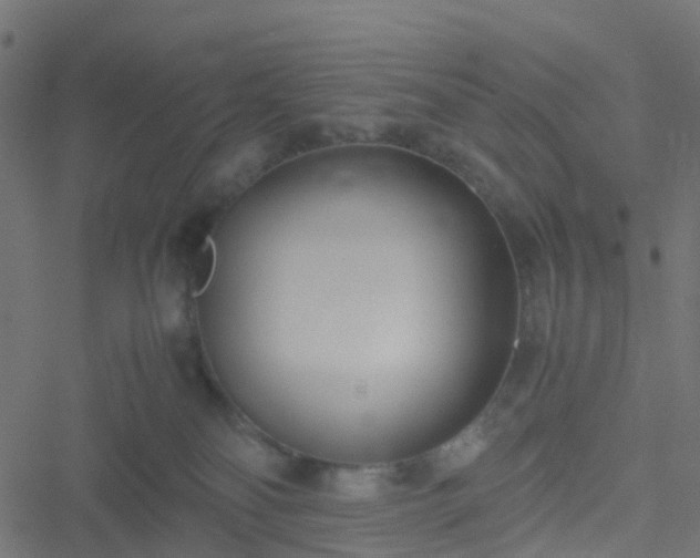 X0000051250134200506241556